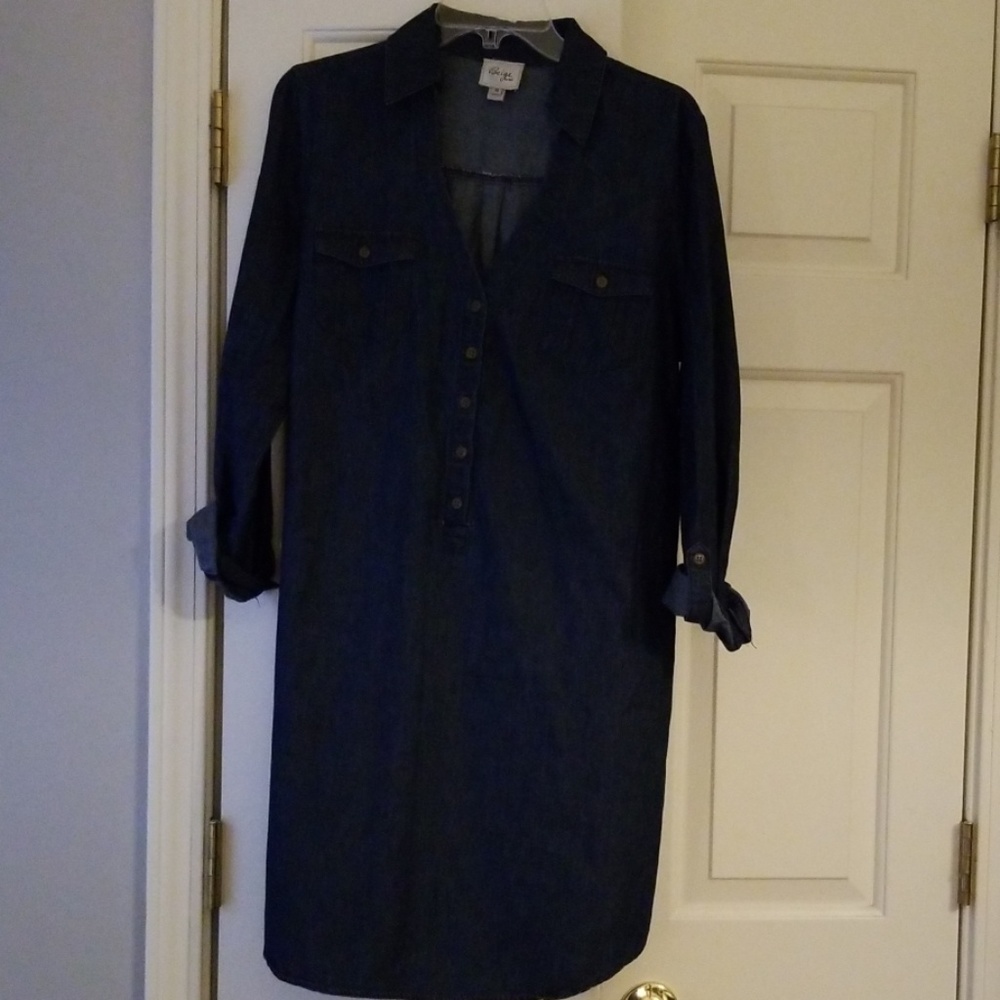 Denim/Blue Jean Dress